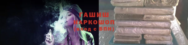 стаф Балахна
