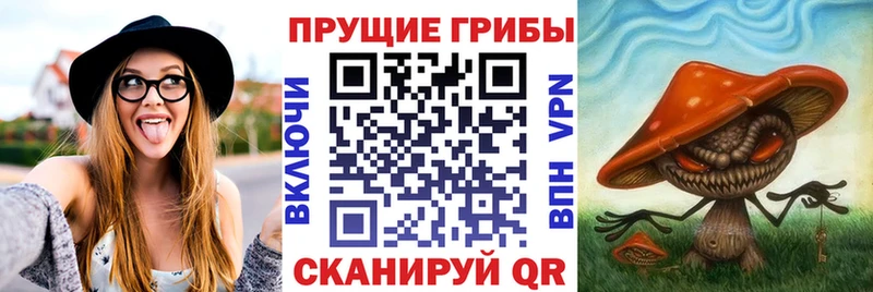 darknet клад  где продают наркотики  Пустошка  Галлюциногенные грибы прущие грибы 